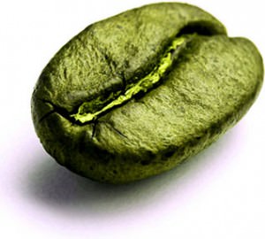 green coffee bean