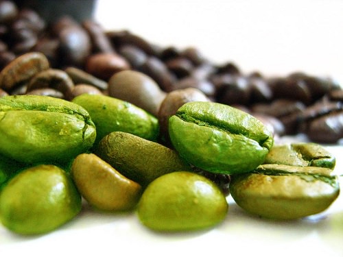 green coffee bean