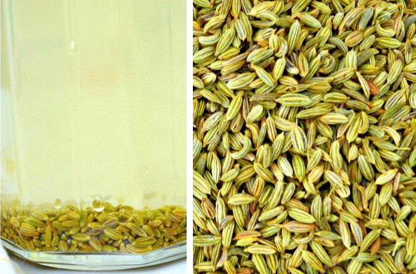 fennel seeds