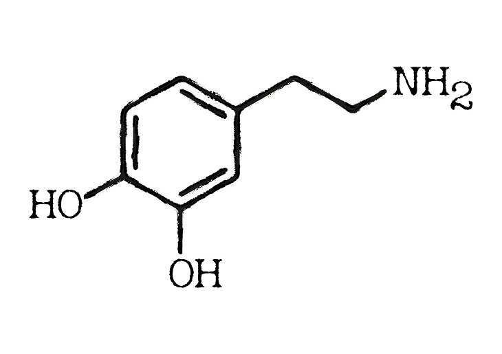 Dopamine, the brain, chemistry, hormones, science, mental health, depression, anxiety, stress, neurotransmitters