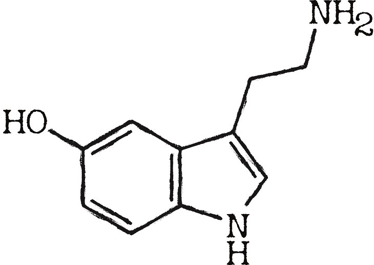 Serotonin, the brain, chemistry, hormones, science, mental health, depression, anxiety, stress, neurotransmitters