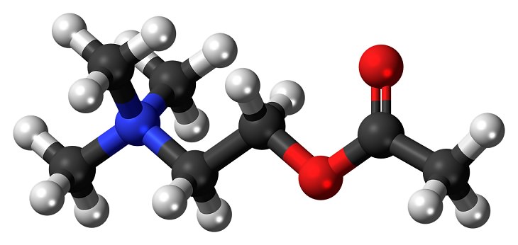 Acetycholine, the brain, chemistry, hormones, science, mental health, depression, anxiety, stress, neurotransmitters