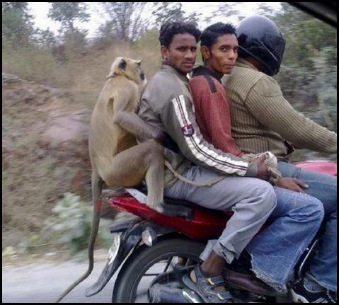 only in india