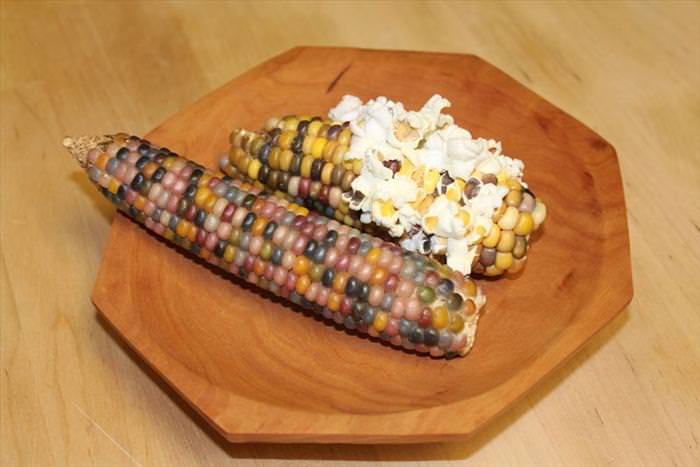 glass gem corn