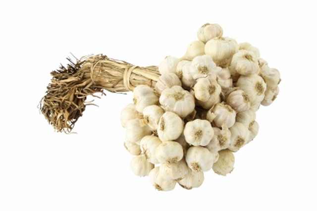 Garlic-Folklore