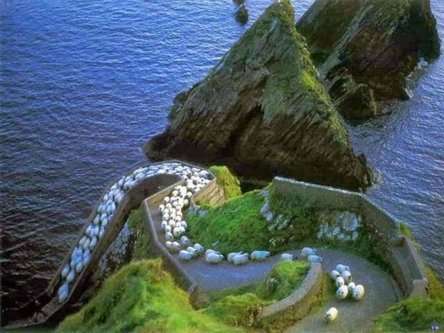 cliff paths
