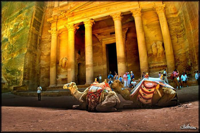 petra photos