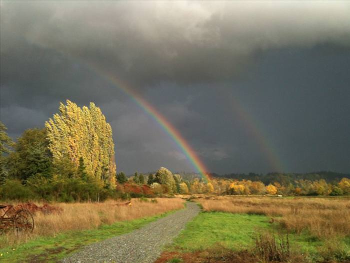 double rainbow