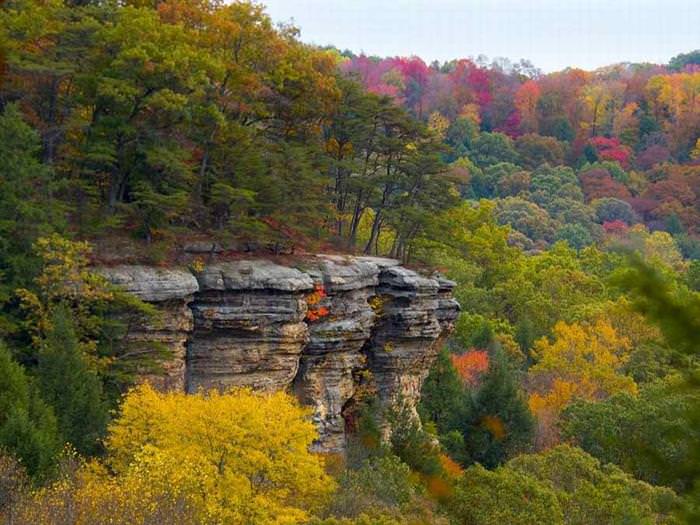 fall in 50 us states