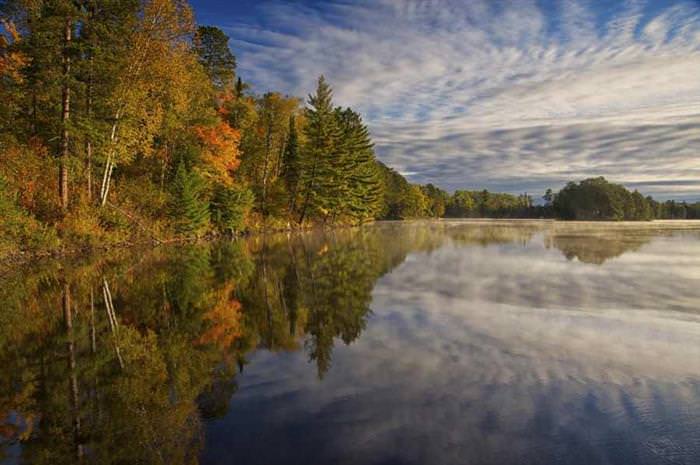 fall in 50 us states