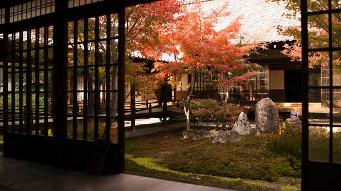 When Nature Meets Structure - The Art of Japanese Gardens