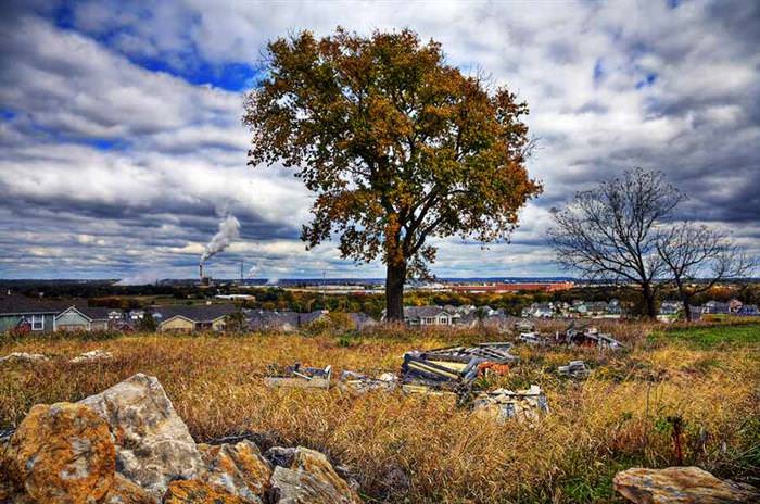 fall in 50 us states