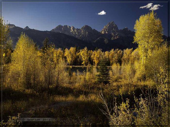 fall in 50 us states