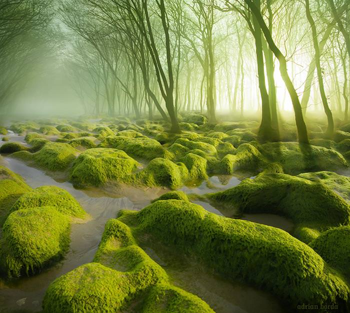 22 Stunning Images That Convinced Me to Visit Romania