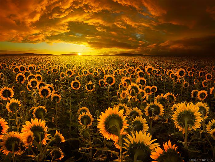 22 Stunning Images That Convinced Me to Visit Romania