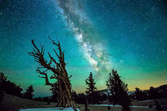 30 Night Skies from Around the World