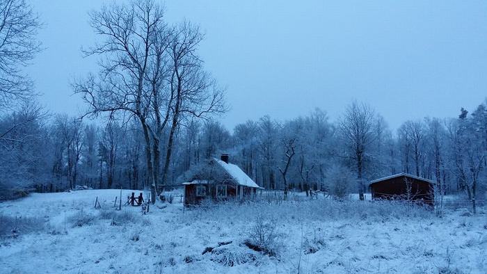 30 Lonely Little Houses