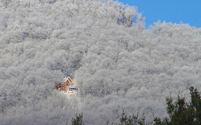 30 Lonely Little Houses