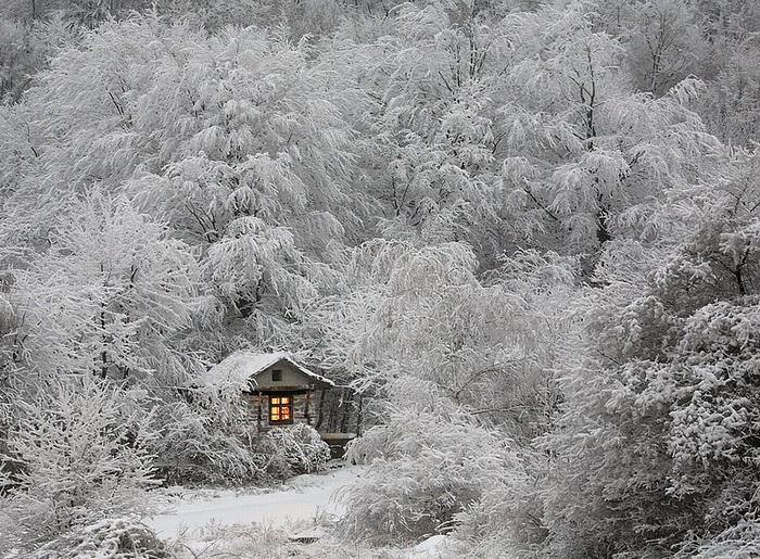 30 Lonely Little Houses