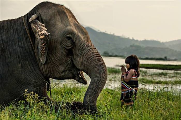 35 Entries from the National Geographic Photo of the Year Contest