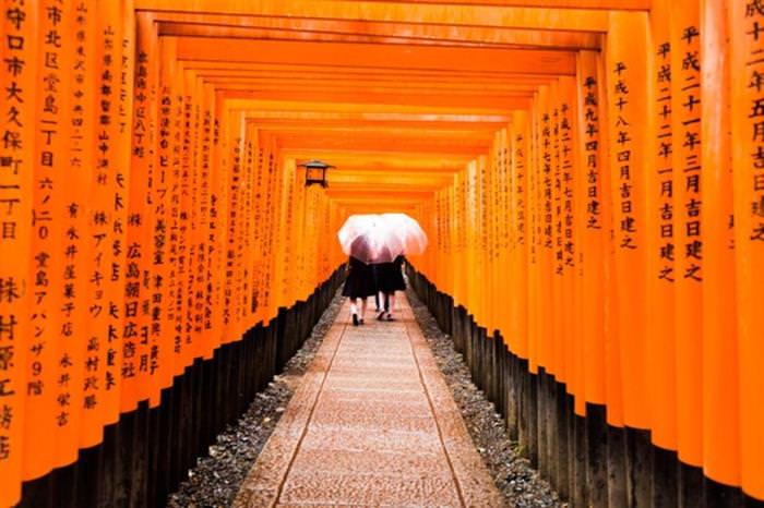 35 Entries from the National Geographic Photo of the Year Contest