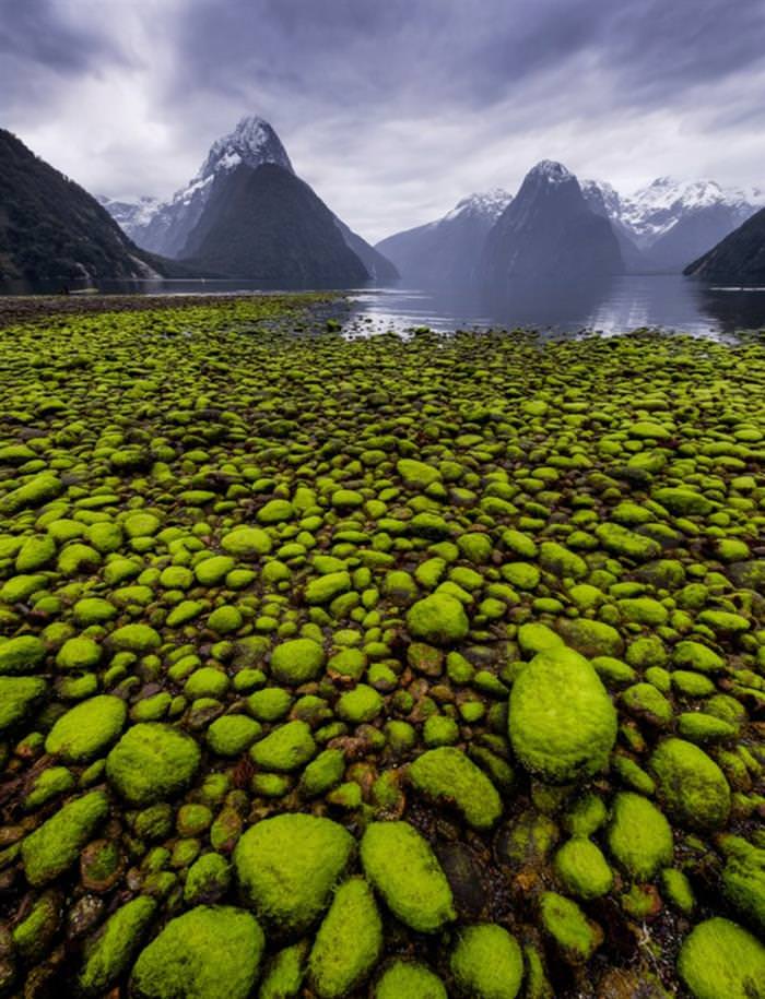 35 Entries from the National Geographic Photo of the Year Contest