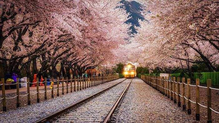 beautiful tree tunnels