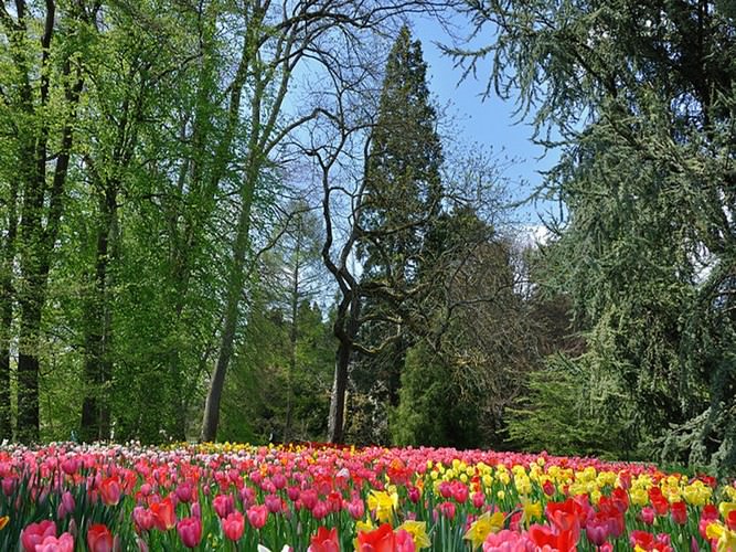 Mainau the garden island