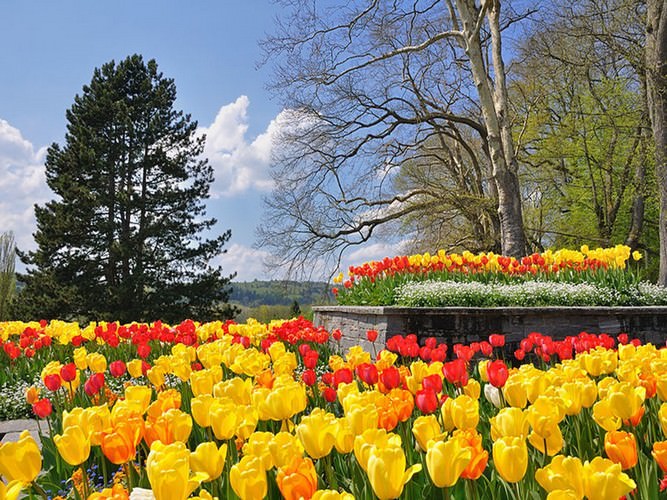 Mainau the garden island
