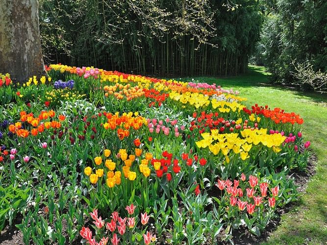 Mainau the garden island