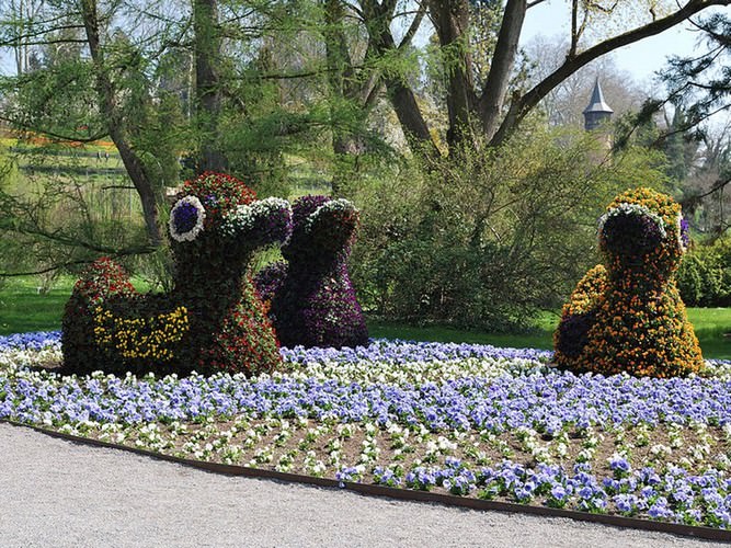 Mainau the garden island