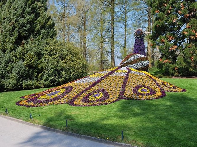 Mainau the garden island