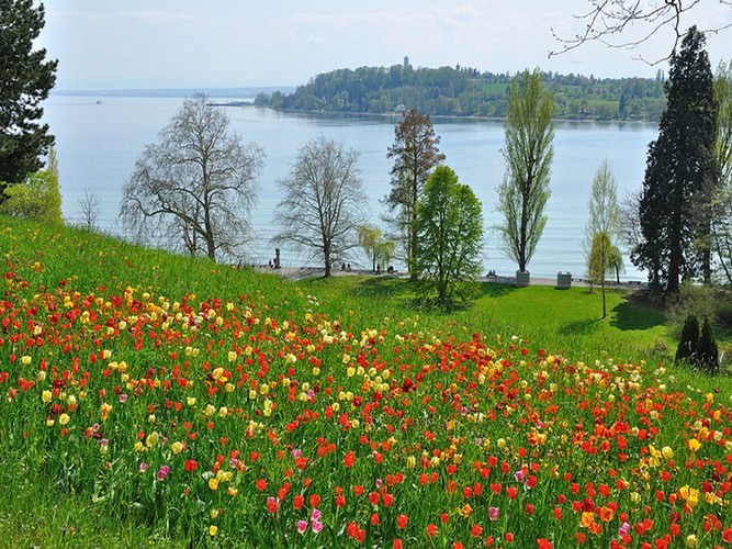 Mainau the garden island