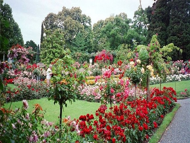 Mainau the garden island