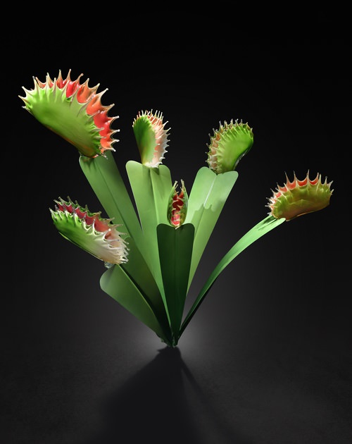 giant glass flowers