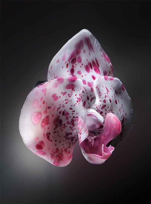 giant glass flowers