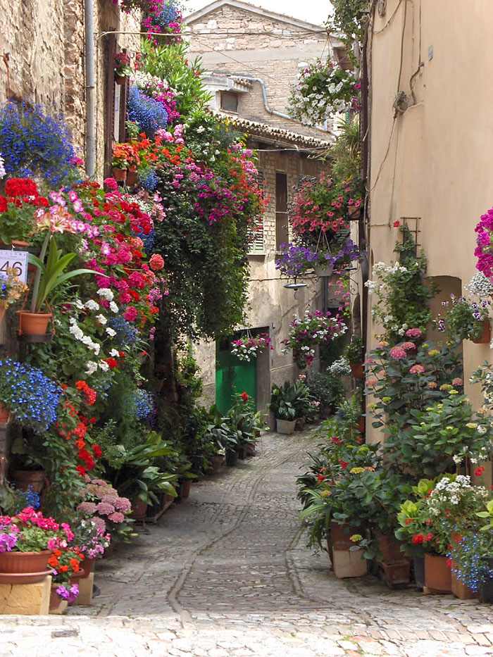 flowery streets
