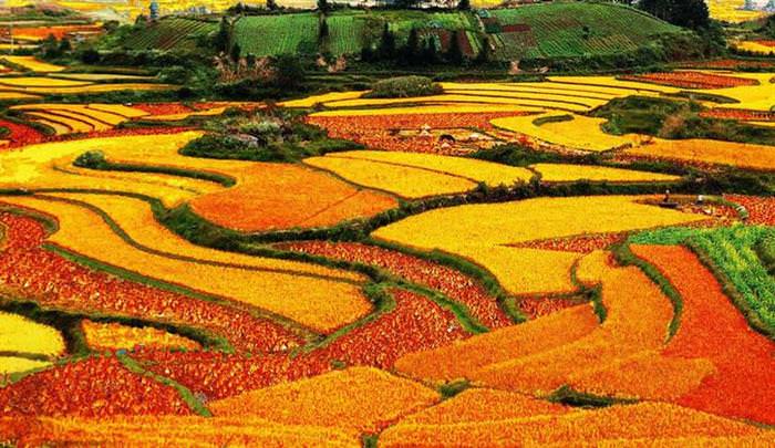 Red Land China