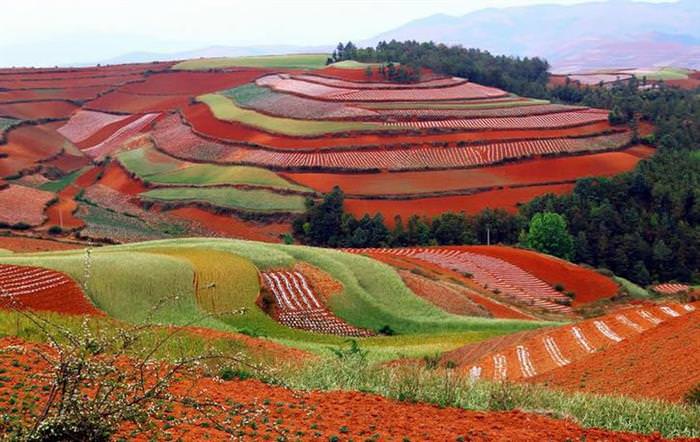 Red Land China