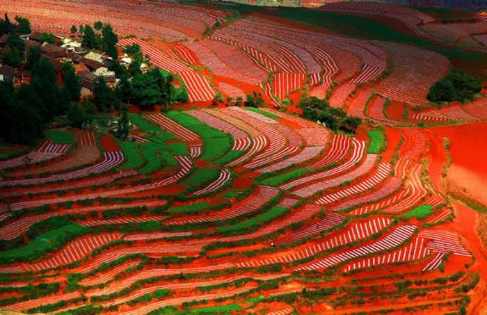 Red Land China