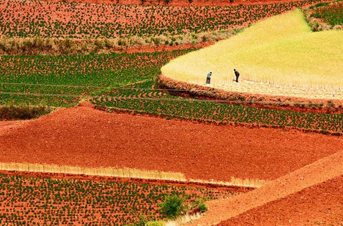 Red Land China