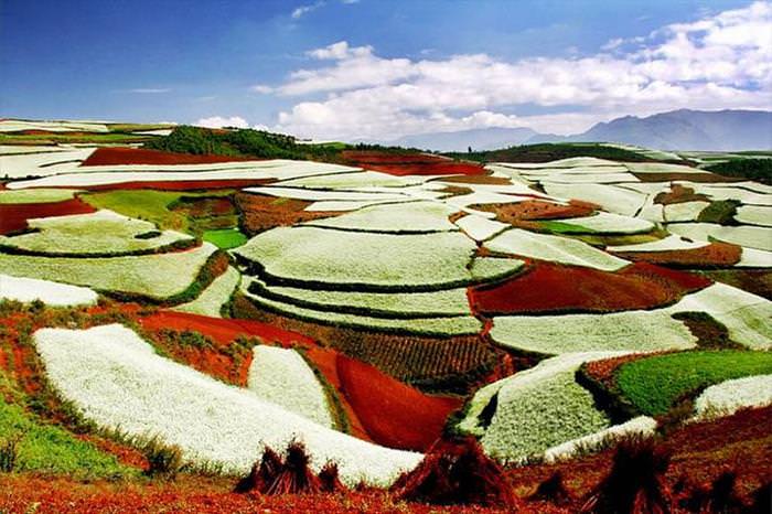 Red Land China