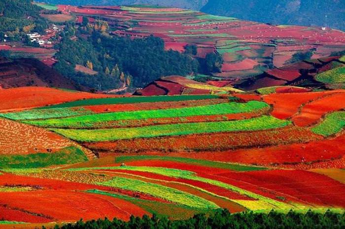 Red Land China