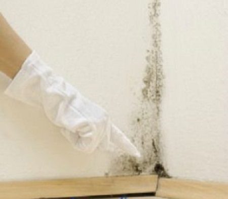 12 Spring cleaning tips