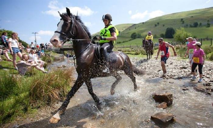 unusual sports