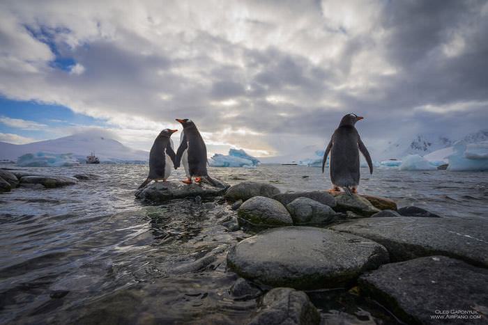 Antarctica photos