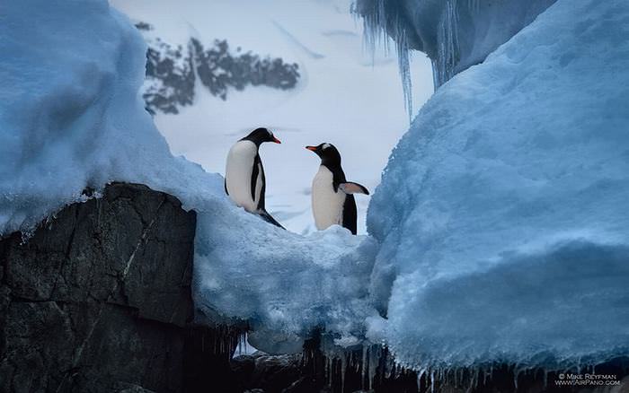 Antarctica photos