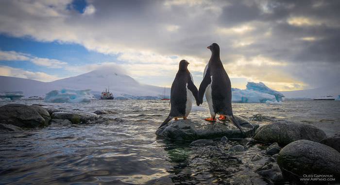 Antarctica photos