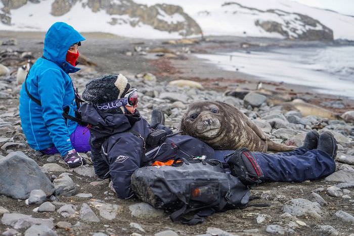 Antarctica photos