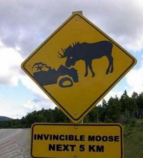 Silly Road Signs